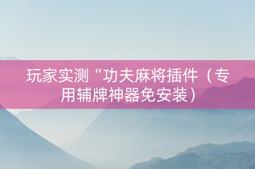 玩家实测“功夫麻将插件（专用辅牌神器免安装）