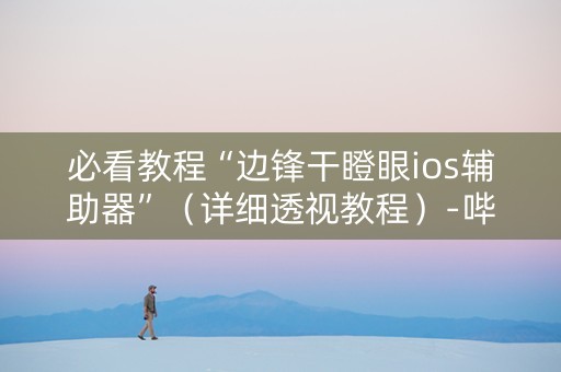 必看教程“边锋干瞪眼ios辅助器”（详细透视教程）-哔哩哔哩