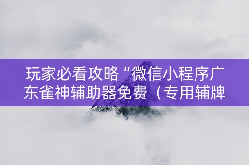 玩家必看攻略“微信小程序广东雀神辅助器免费（专用辅牌神器免安装）