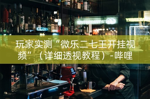 玩家实测“微乐二七王开挂视频”（详细透视教程）-哔哩哔哩