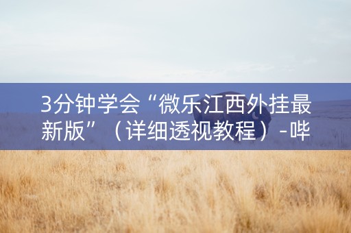 3分钟学会“微乐江西外挂最新版”（详细透视教程）-哔哩哔哩