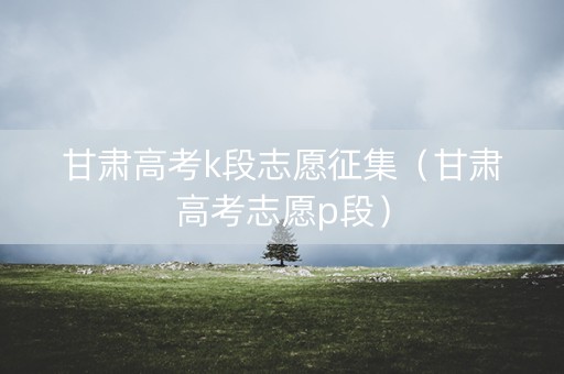 甘肃高考k段志愿征集（甘肃高考志愿p段）