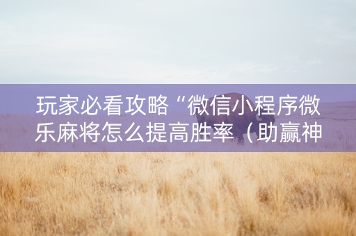 玩家必看攻略“微信小程序微乐麻将怎么提高胜率（助赢神器通用版）