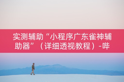 实测辅助“小程序广东雀神辅助器”（详细透视教程）-哔哩哔哩