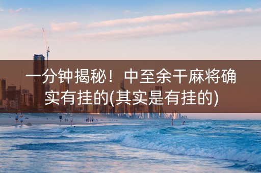 一分钟揭秘！中至余干麻将确实有挂的(其实是有挂的)