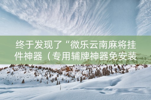 终于发现了“微乐云南麻将挂件神器（专用辅牌神器免安装）