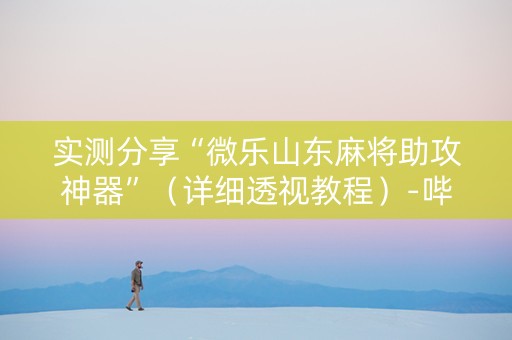 实测分享“微乐山东麻将助攻神器”（详细透视教程）-哔哩哔哩