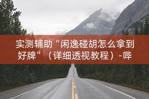 实测辅助“闲逸碰胡怎么拿到好牌”（详细透视教程）-哔哩哔哩