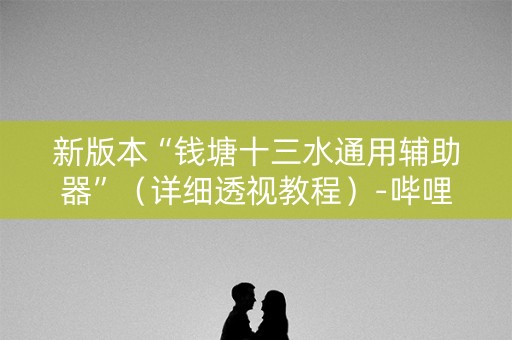 新版本“钱塘十三水通用辅助器”（详细透视教程）-哔哩哔哩