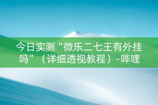 今日实测“微乐二七王有外挂吗”（详细透视教程）-哔哩哔哩