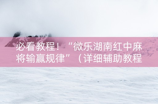 必看教程！“微乐湖南红中麻将输赢规律”（详细辅助教程）-哔哩哔哩