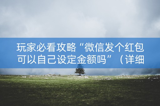 玩家必看攻略“微信发个红包可以自己设定金额吗”（详细透视教程）-哔哩哔哩
