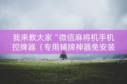 我来教大家“微信麻将机手机控牌器（专用辅牌神器免安装）