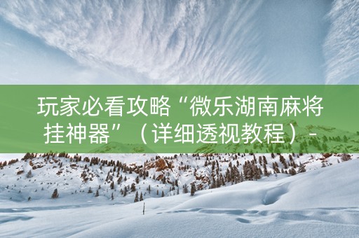 玩家必看攻略“微乐湖南麻将挂神器”（详细透视教程）-哔哩哔哩