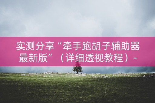 实测分享“牵手跑胡子辅助器最新版”（详细透视教程）-哔哩哔哩