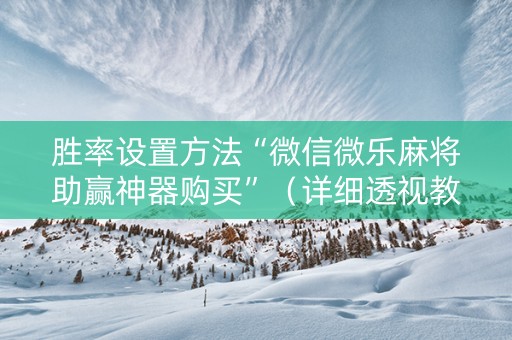 胜率设置方法“微信微乐麻将助赢神器购买”（详细透视教程）-哔哩哔哩