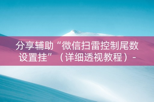 分享辅助“微信扫雷控制尾数设置挂”（详细透视教程）-哔哩哔哩