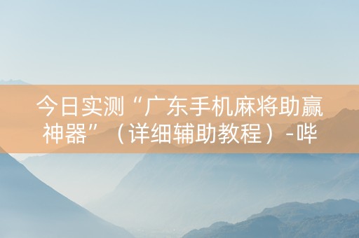 今日实测“广东手机麻将助赢神器”（详细辅助教程）-哔哩哔哩