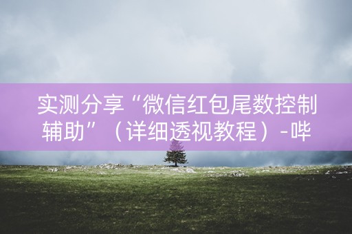 实测分享“微信红包尾数控制辅助”（详细透视教程）-哔哩哔哩