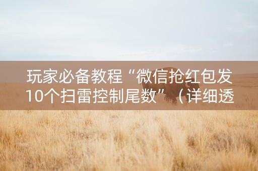 玩家必备教程“微信抢红包发10个扫雷控制尾数”（详细透视教程）-哔哩哔哩