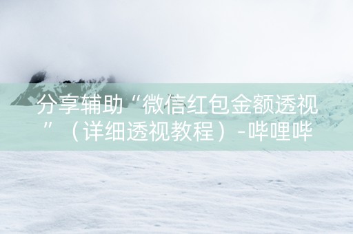 分享辅助“微信红包金额透视”（详细透视教程）-哔哩哔哩