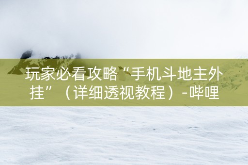 玩家必看攻略“手机斗地主外挂”（详细透视教程）-哔哩哔哩