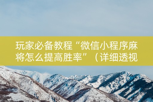 玩家必备教程“微信小程序麻将怎么提高胜率”（详细透视教程）-哔哩哔哩
