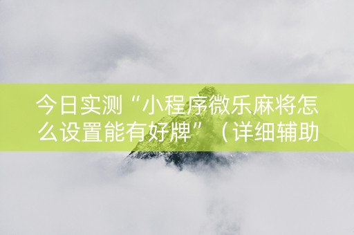 今日实测“小程序微乐麻将怎么设置能有好牌”（详细辅助教程）-哔哩哔哩