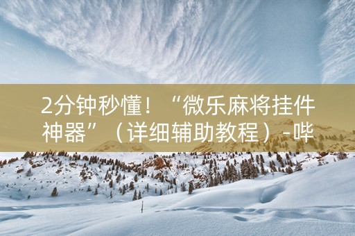 2分钟秒懂！“微乐麻将挂件神器”（详细辅助教程）-哔哩哔哩