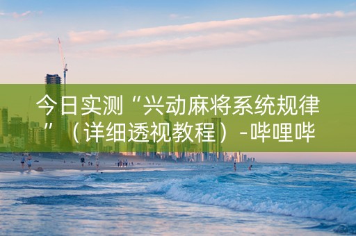 今日实测“兴动麻将系统规律”（详细透视教程）-哔哩哔哩