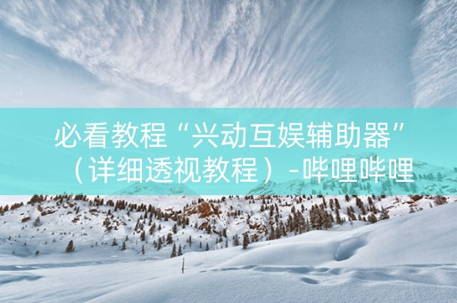必看教程“兴动互娱辅助器”（详细透视教程）-哔哩哔哩