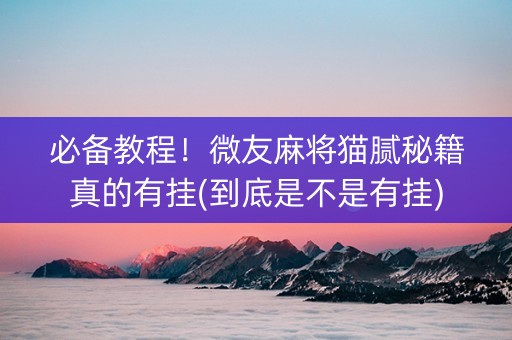 必备教程！微友麻将猫腻秘籍真的有挂(到底是不是有挂)
