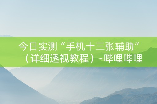 今日实测“手机十三张辅助”（详细透视教程）-哔哩哔哩