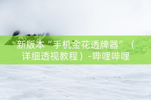 新版本“手机金花透牌器”（详细透视教程）-哔哩哔哩
