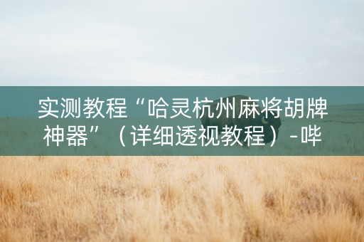 实测教程“哈灵杭州麻将胡牌神器”（详细透视教程）-哔哩哔哩