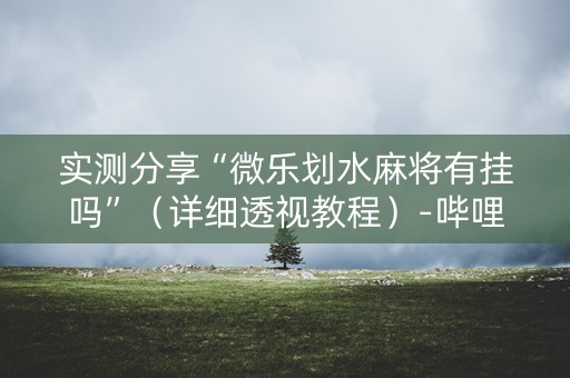 实测分享“微乐划水麻将有挂吗”（详细透视教程）-哔哩哔哩