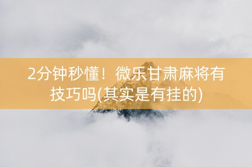 2分钟秒懂！微乐甘肃麻将有技巧吗(其实是有挂的)