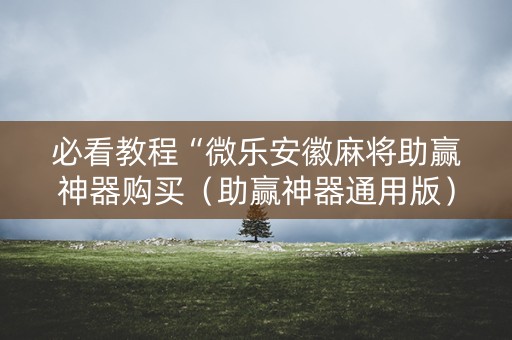 必看教程“微乐安徽麻将助赢神器购买（助赢神器通用版）