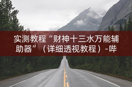 实测教程“财神十三水万能辅助器”（详细透视教程）-哔哩哔哩