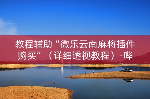 教程辅助“微乐云南麻将插件购买”（详细透视教程）-哔哩哔哩