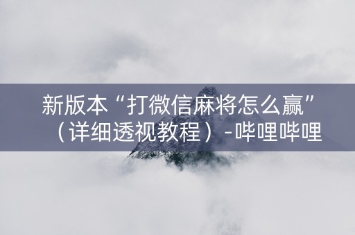 新版本“打微信麻将怎么赢”（详细透视教程）-哔哩哔哩