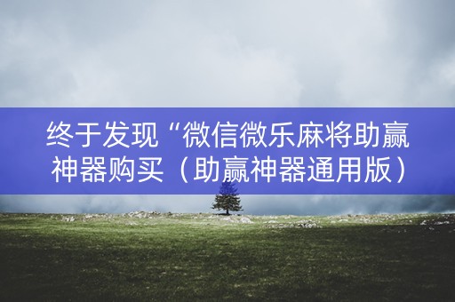终于发现“微信微乐麻将助赢神器购买（助赢神器通用版）