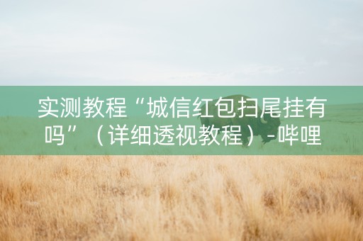 实测教程“城信红包扫尾挂有吗”（详细透视教程）-哔哩哔哩