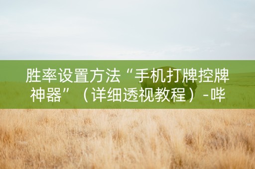 胜率设置方法“手机打牌控牌神器”（详细透视教程）-哔哩哔哩
