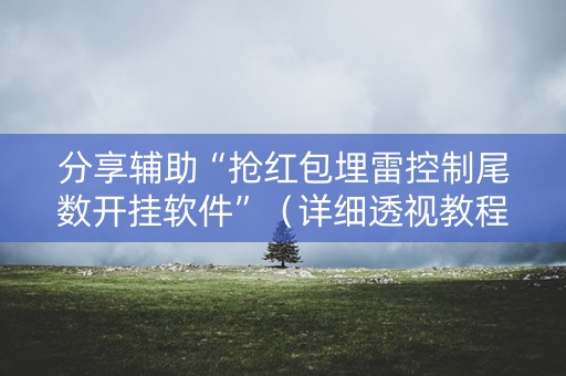 分享辅助“抢红包埋雷控制尾数开挂软件”（详细透视教程）-哔哩哔哩