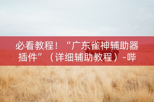 必看教程！“广东雀神辅助器插件”（详细辅助教程）-哔哩哔哩