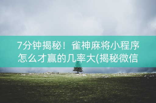 7分钟揭秘！雀神麻将小程序怎么才赢的几率大(揭秘微信里助手软件)