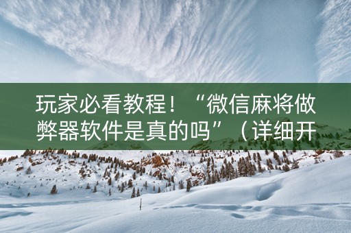 玩家必看教程！“微信麻将做弊器软件是真的吗”（详细开挂教程）-哔哩哔哩