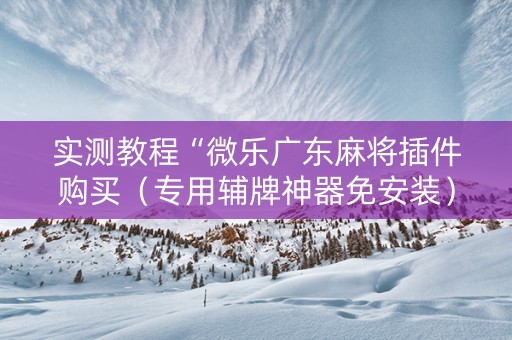 实测教程“微乐广东麻将插件购买（专用辅牌神器免安装）