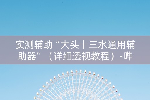 实测辅助“大头十三水通用辅助器”（详细透视教程）-哔哩哔哩
